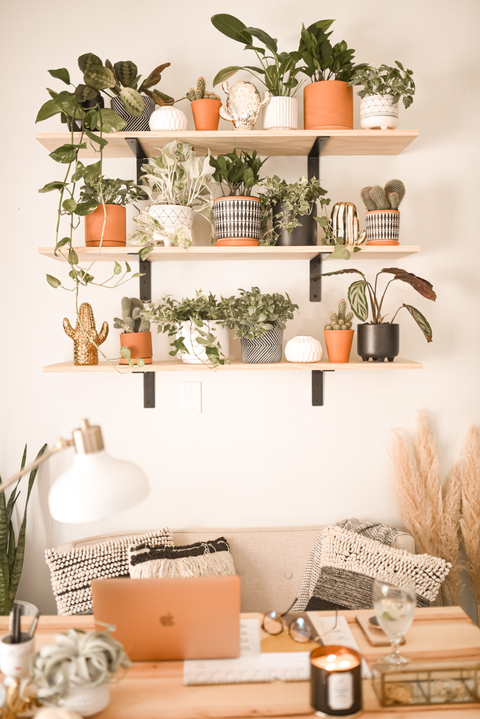 My boho style office on a budget. Amazon home finds from plants to baskets to rugs.