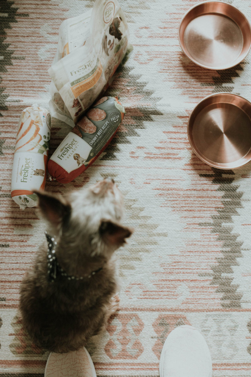 FEEDING OUR PETS AN ALL NATURAL, FRESH FOOD OPTION IS SO KEY. READ MORE TO FIND OUT HOW WE FOUND THE BEST FOOD FOR OUR PETS.