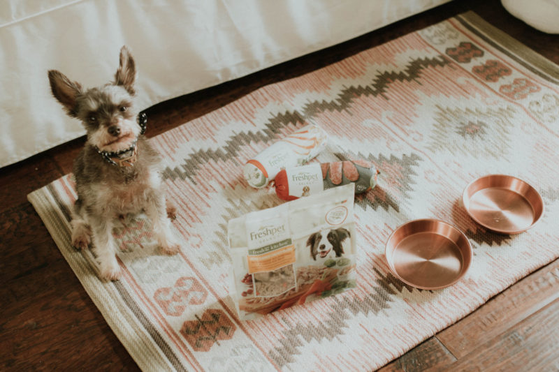 FEEDING OUR PETS AN ALL NATURAL, FRESH FOOD OPTION IS SO KEY. READ MORE TO FIND OUT HOW WE FOUND THE BEST FOOD FOR OUR PETS.