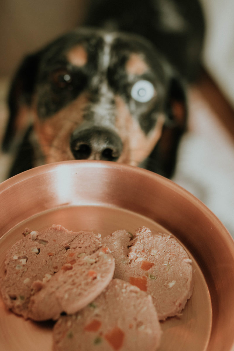 FEEDING OUR PETS AN ALL NATURAL, FRESH FOOD OPTION IS SO KEY. READ MORE TO FIND OUT HOW WE FOUND THE BEST FOOD FOR OUR PETS.