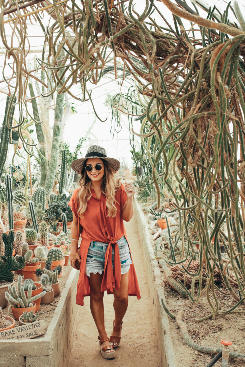 ALL OF THE MOST POPULAR PLACES THAT YOU MUST SEE IN PALM SPRINGS. ALL OF MY FAVORITE INSTAGRAM WORTHY SPOTS IN PALM SPRINGS IS IN THE BLOG. READ MORE TO FIND OUT MY EXACT THOUGHTS.
