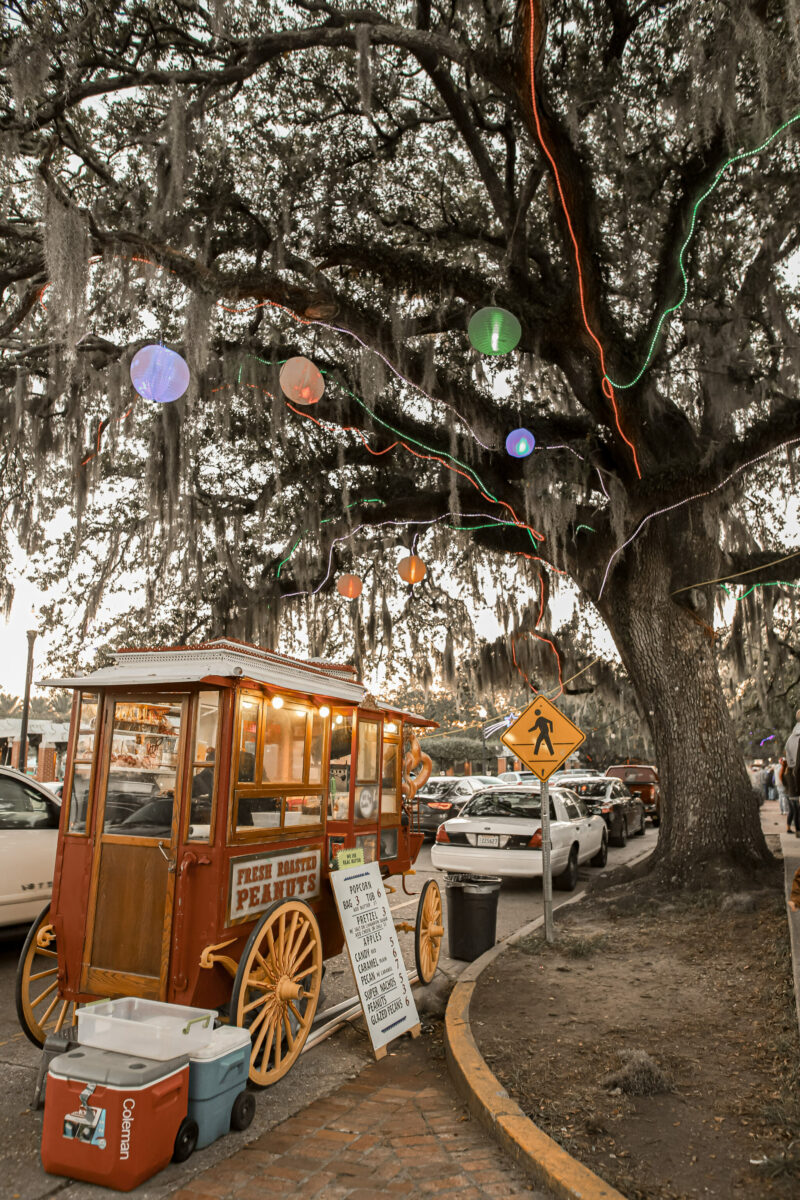 CELEBRATION IN THE OAKS WITH THE FAMILY IS A TRADITION EVERY HOLIDAY SEASON. CHRISTMAS LIGHTS, HOT CHOCOLATE, SANTA PICTURES, ROLLER COASTERS AND MORE.