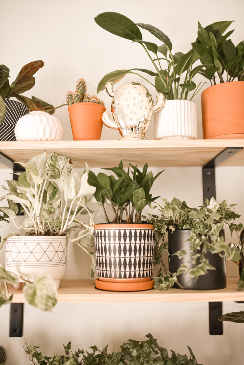 My boho style office on a budget. Amazon home finds from plants to baskets to rugs.